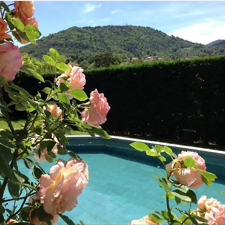 - Private Pool Apartment
